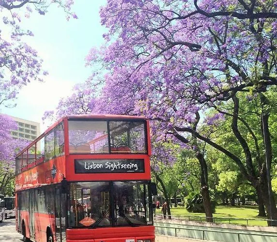 Διαμέρισμα Classic